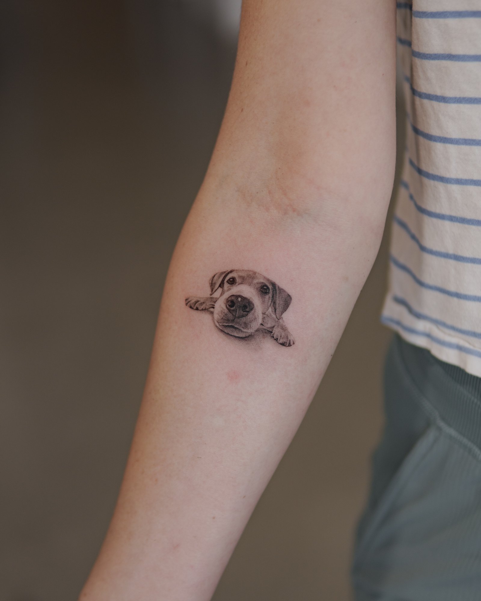 Micro realism French bulldog portrait tattoo on forearm