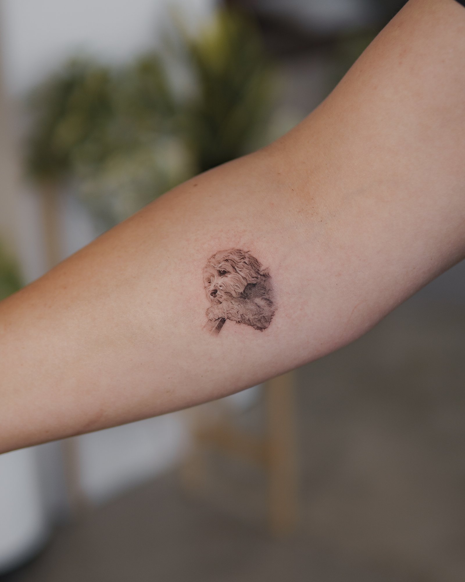 Cat portrait micro realism tattoo on wrist