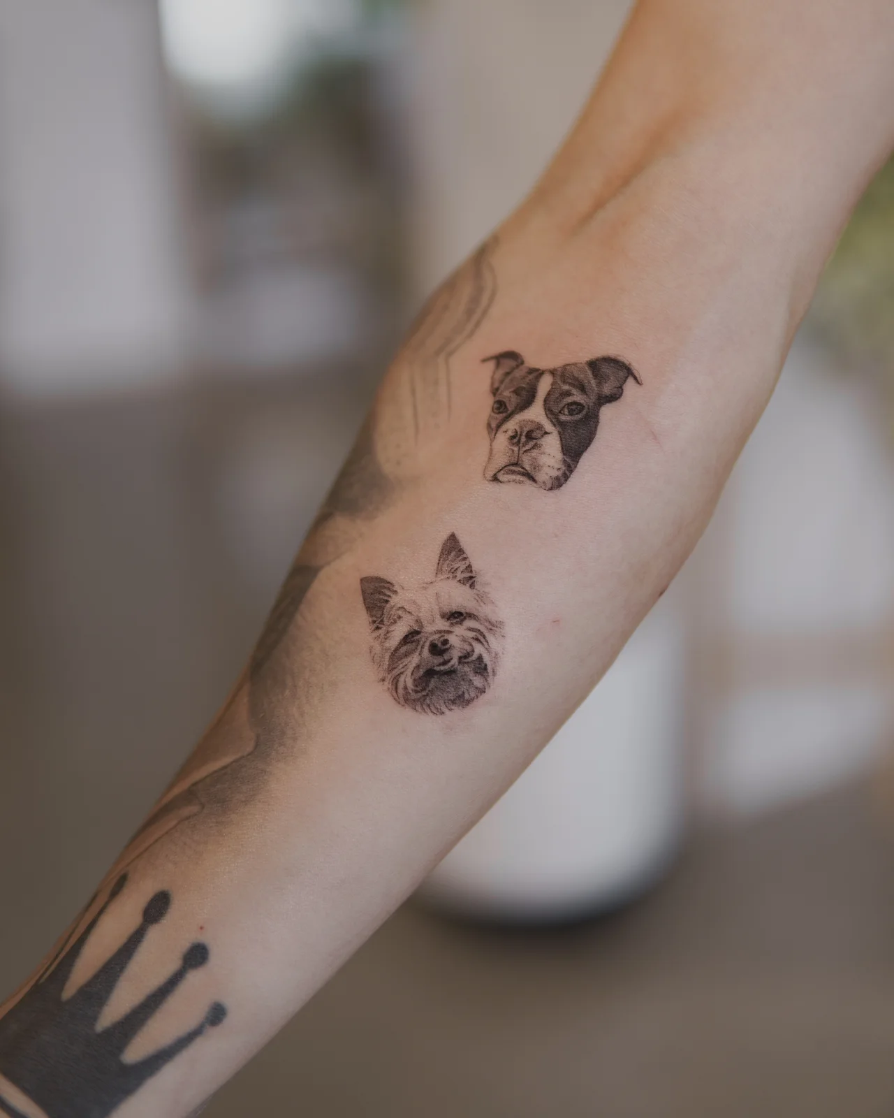 Retrato de mascota tatuado mostrando ojos y facciones en detalle