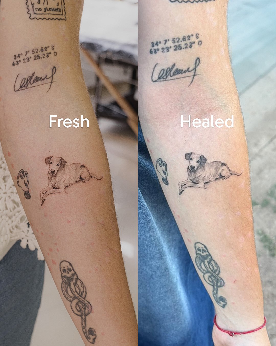 Healed micro realism tattoo long-term result