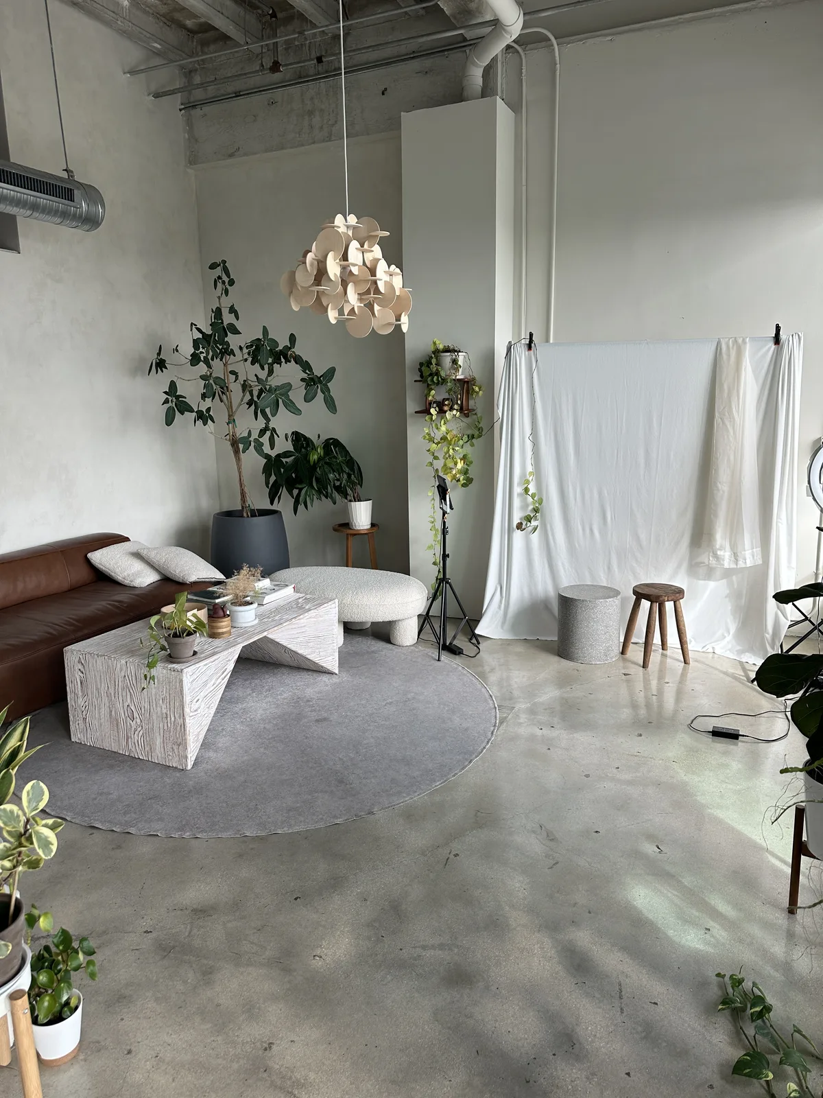 Guest spot location in Miami